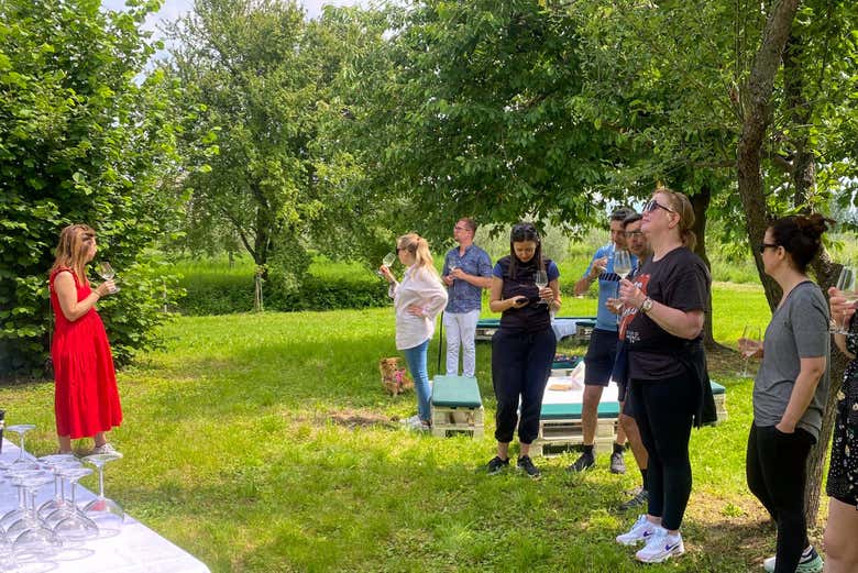 Visita a la Bodega Corte Anna, Sirmione - Civitatis.com