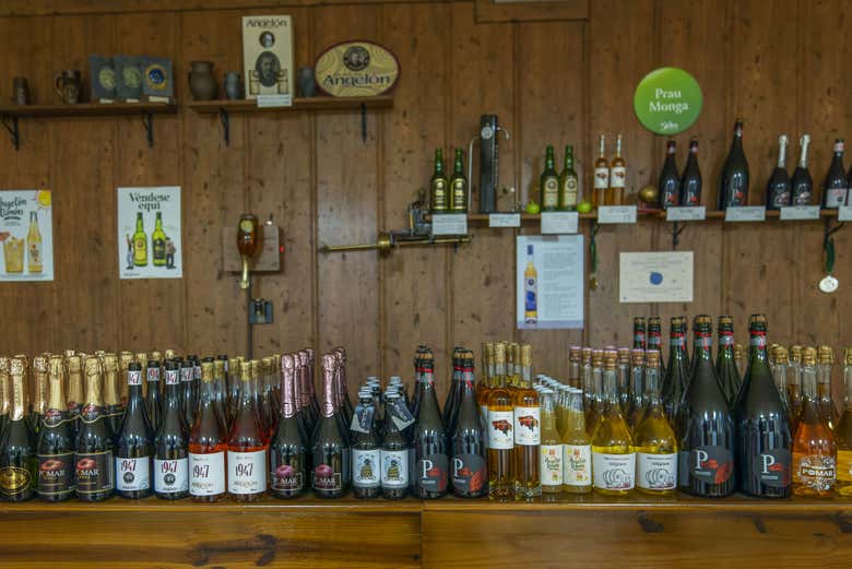 Visita Al Llagar Sidra Viuda de Angelón, Nava - Civitatis México