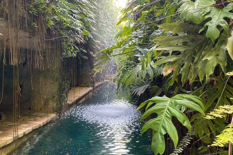 Excursión a la hacienda Mucuyché desde Mérida - Civitatis.com