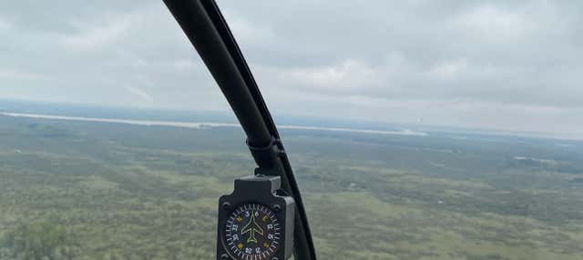 Excursión privada en helicóptero a la isla Martín García desde San ...