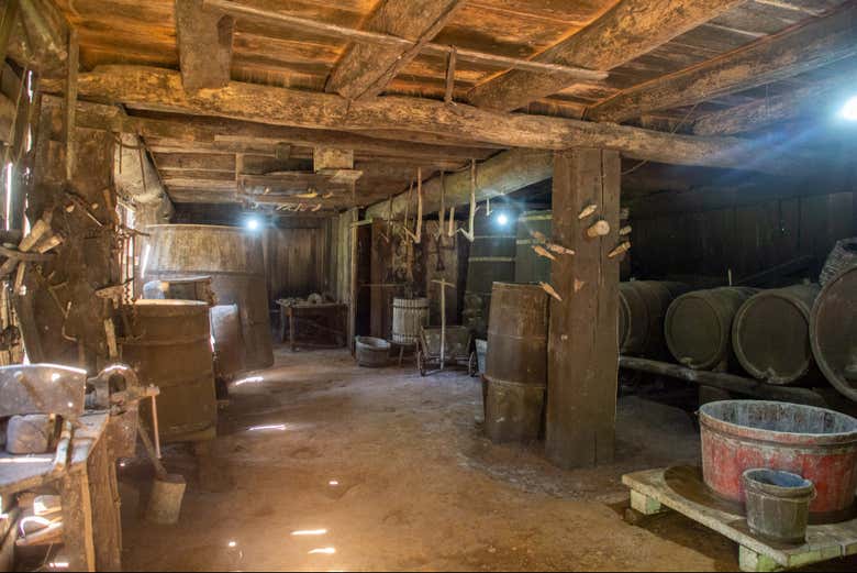 Visita a la bodega Sanber, Bituruna - Civitatis.com