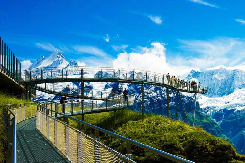 Excursión a Grindelwald y el Monte First desde Lucerna - Civitatis...